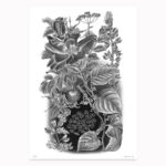 Blomster Print